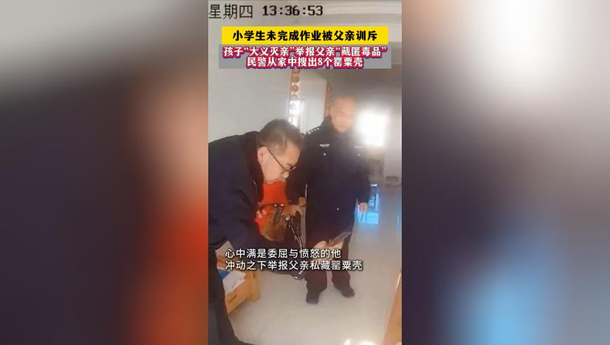 新澳彩开奖结果历史记录查询大全最新,315调查记者演技有多强,完美答案解释落实_完整版V11.30