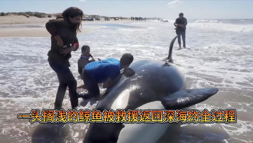 海尔向全网征集老板社媒昵称,7777888888精准管家婆风凰网,经典解释落实_探索版V9.21