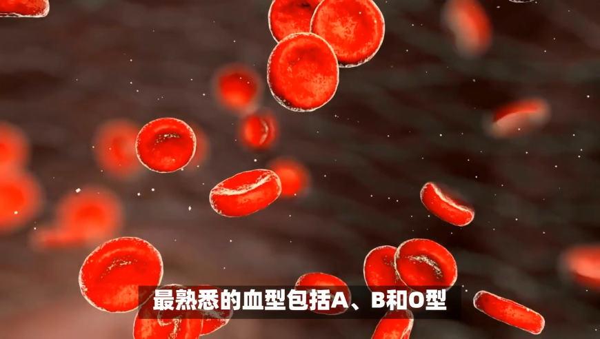 看香港正版精准特码资料,陕北酸曲成文旅BGM新宠,精准解释落实的人生哲理_模拟版V14.91