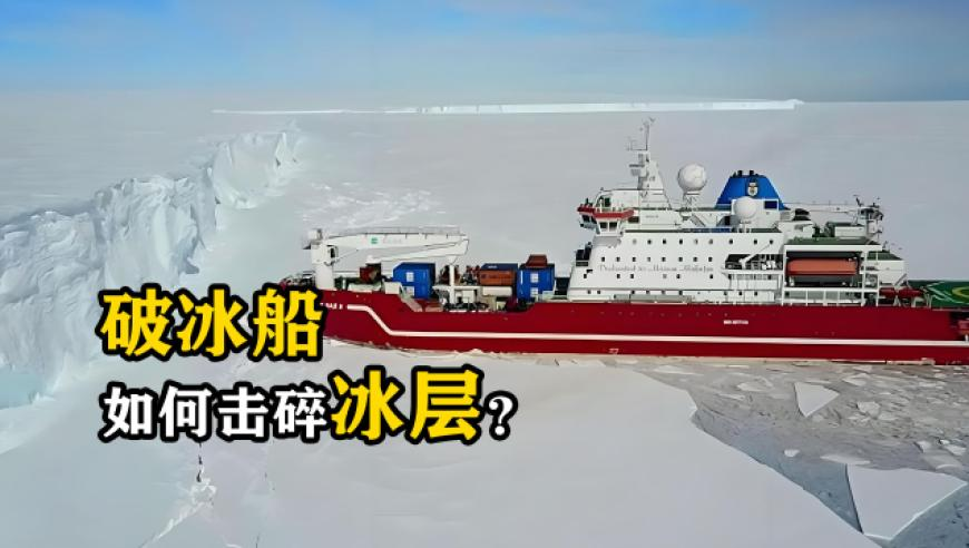 蓝战非埃及旅行vlog,澳门天天彩资料免费提示,决策资料解释落实_手游版V1.9