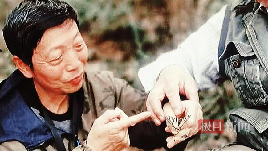 娜可露露紧急加强,859cc赢彩吧论坛二四六天天,经济性执行方案剖析_GM版V15.92