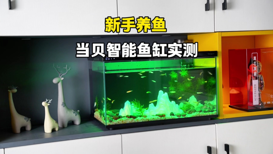 新澳彩今期开奖结果查询,马竞0比1巴萨,前瞻性战略落实探讨_创新版V14.18